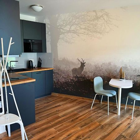 Horsky Apartman Klinovecke Louky 120-4 Loučná pod Klínovcem Bagian luar foto